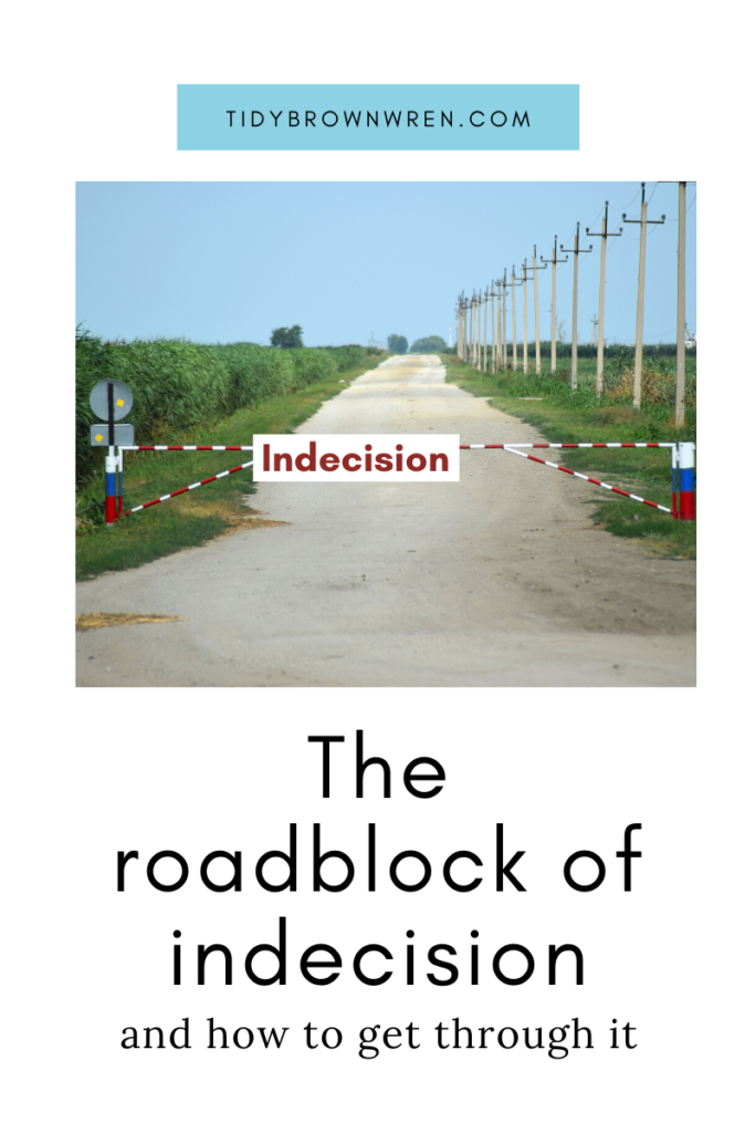 The roadblock of indecision/tidybrownwren.com