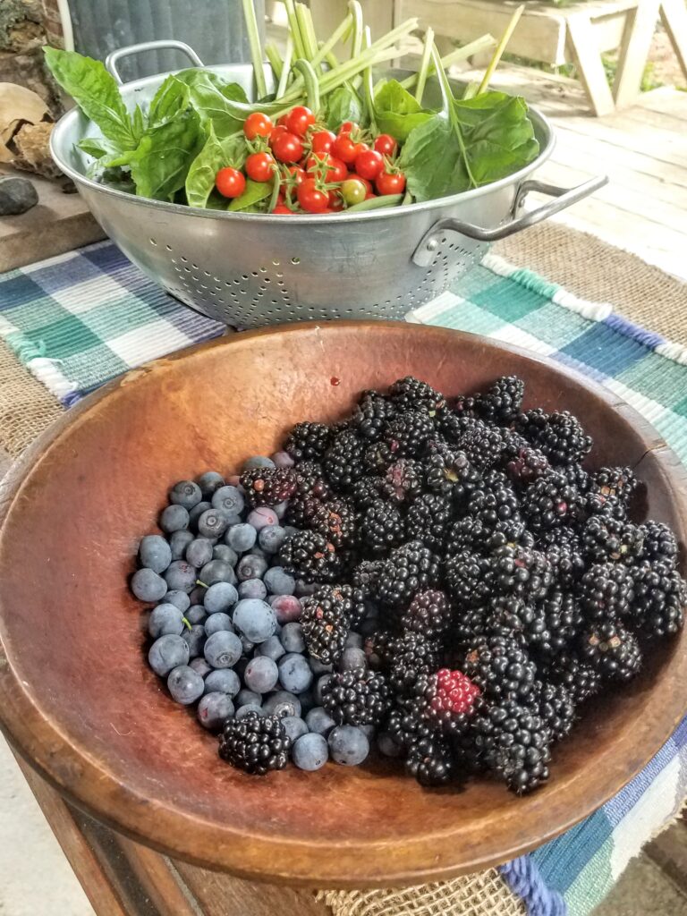 Bowl of berries/tidybrownwren.com
