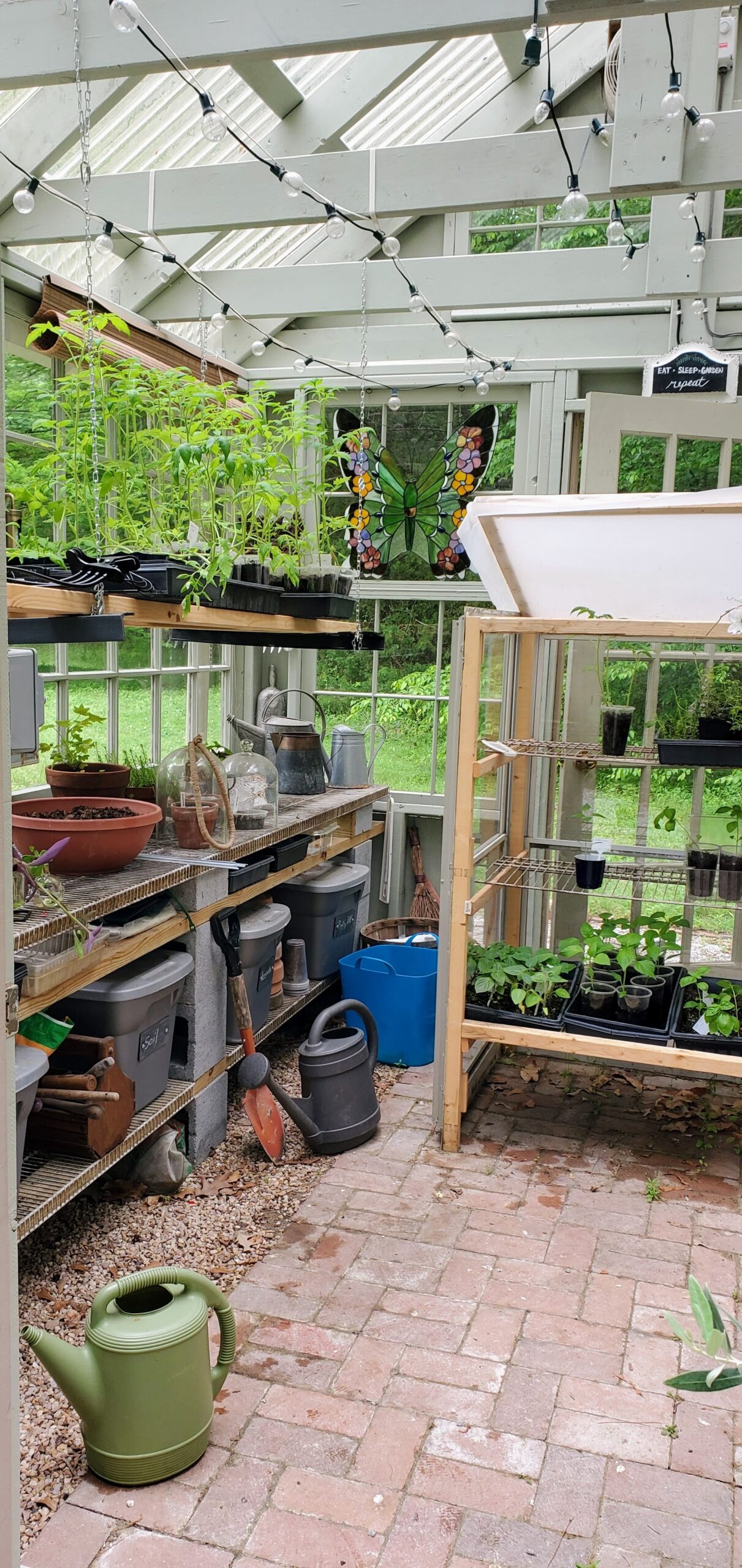 Greenhouse with cold frame