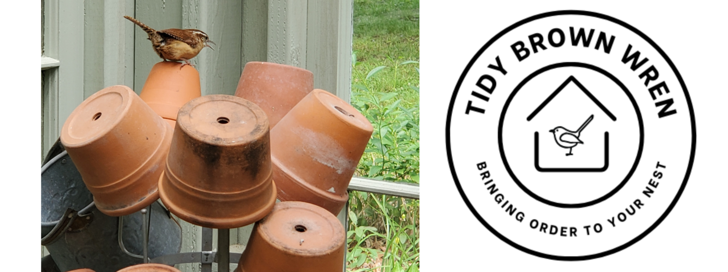 Tidy Brown Wren, bringing order to your nest